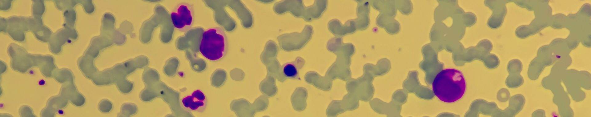 Imaging living cells using Raman microspectroscopy - NicoletCZ